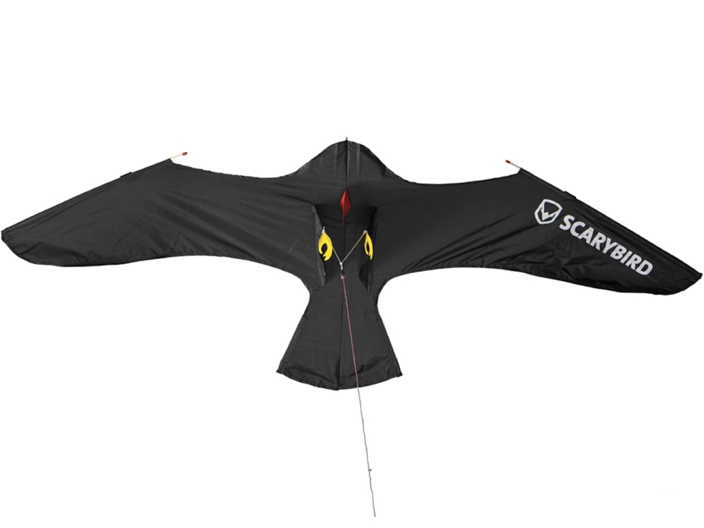 scarybird, scary bird, straszak na ptaki, odstraszacz na ptaki, odstraszacz ptaków, odstraszacz szpaków, jak odstraszyć szpaki, jak odstraszyć ptaki, scarybird