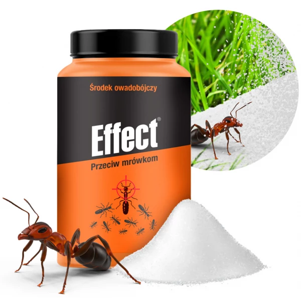 Proszek na mrówki preparat, środek Effect 100g.