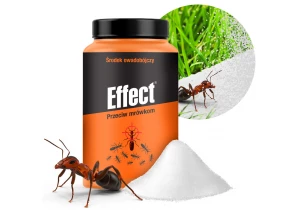 Proszek na pluskwy preparat, środek Effect 100g.