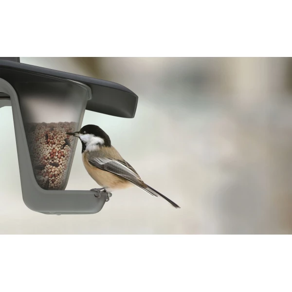 Nowoczesny karmnik na balkon barierkę Birdyfeed Double 