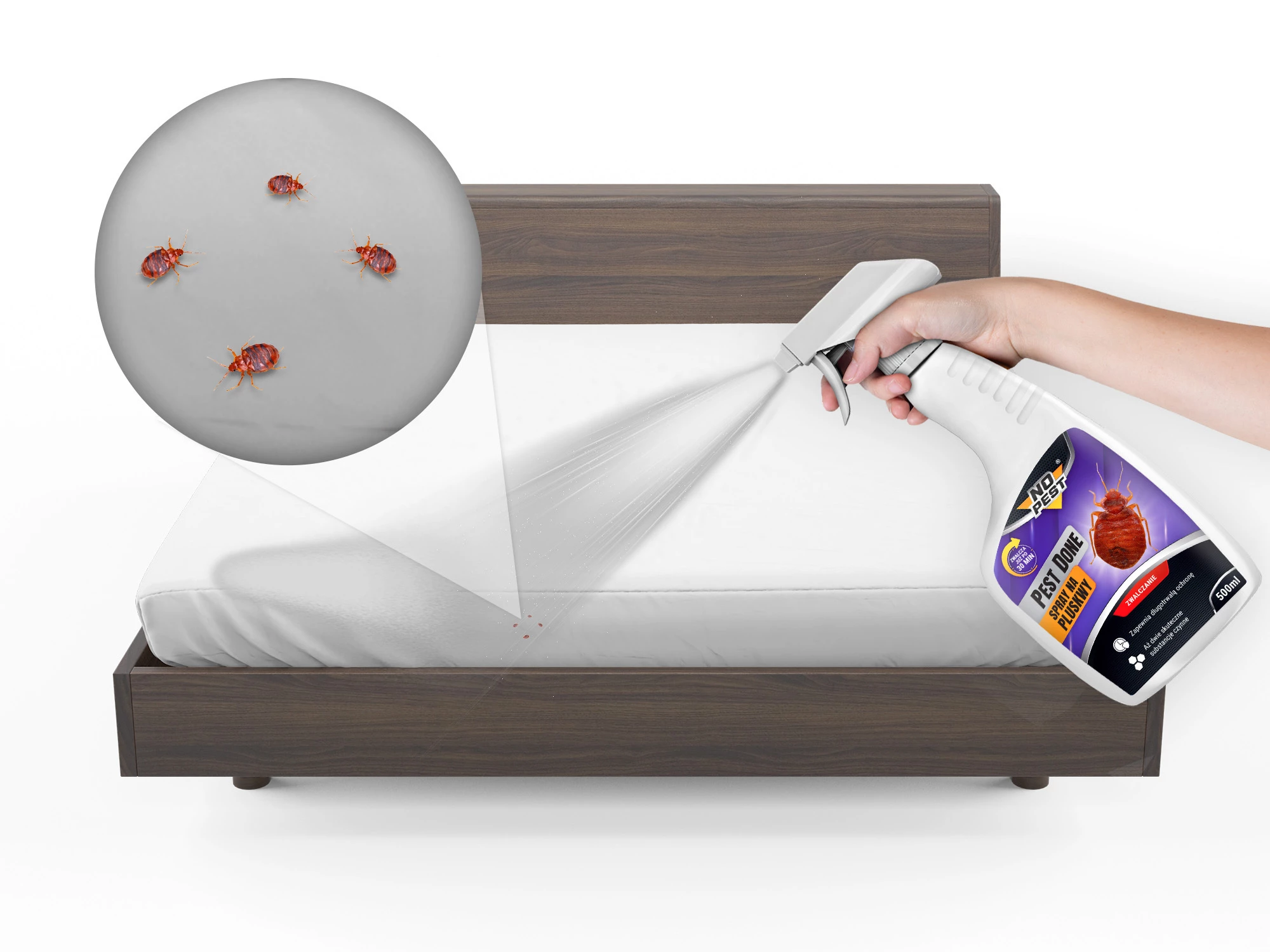 środki na pluskwy, preparaty na pluskwy, bomba na pluskwy, spray na pluskwy, płyn na pluskwy, skuteczne środki na pluskwy, skuteczne preparaty na pluskwy