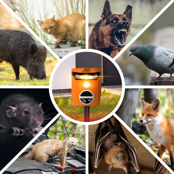 Odstraszacz dzikich zwierząt No Pest® Flash Guard 