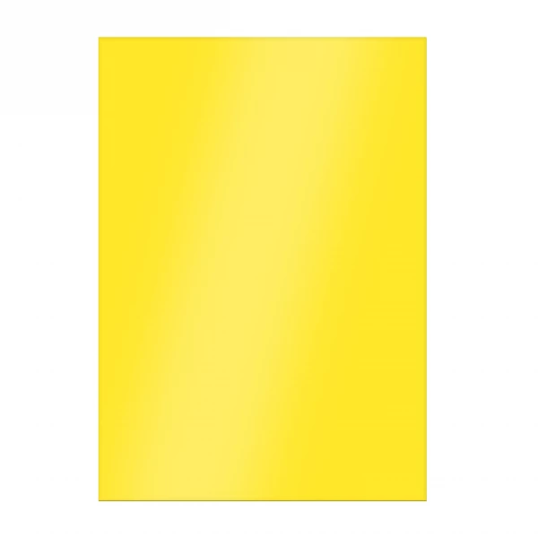 Silny lep na owady domowe Plant Guard No Pest® 12 szt