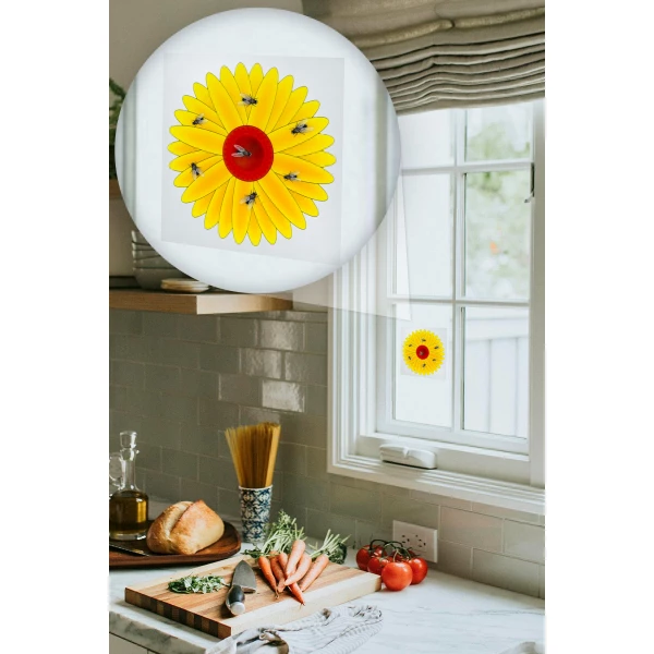 Wabiący lep na owady domowe Sunflower Trap No Pest®