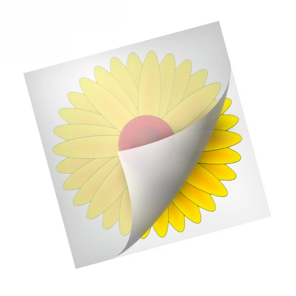 Wabiący lep na owady domowe Sunflower Trap No Pest®
