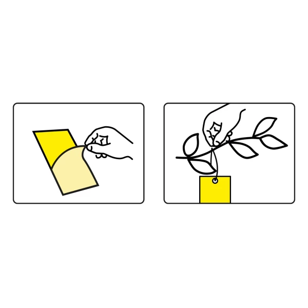 Skuteczny lep na muchy, muszki owocówki, owady Plant Guard No Pest® 10 szt