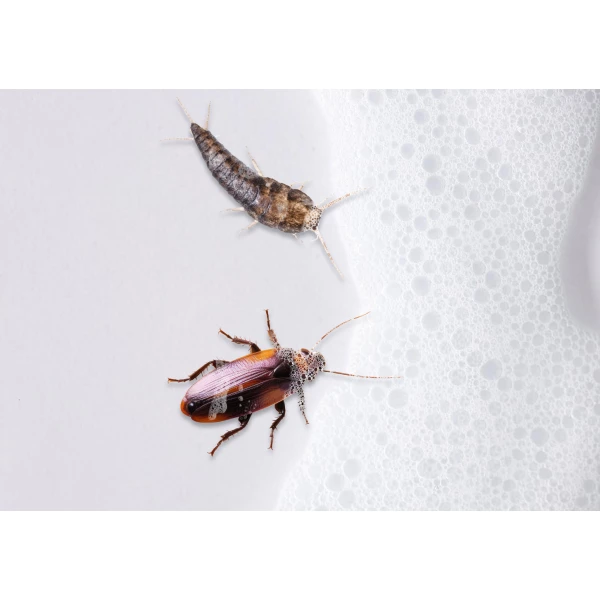 Środek na karaluchy, prusaki, rybiki spray pianka preparat No Pest® Killer Foam 