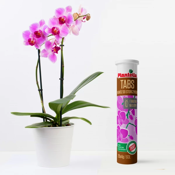 Nawóz do storczyków Plantella Tabs