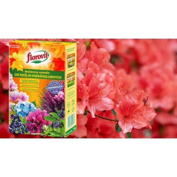 Nawóz do hortensji, borówek, wrzosów, roślin kwaśnolubnych jesienny Florovit 1kg