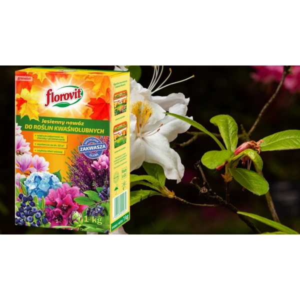Nawóz do hortensji, borówek, wrzosów, roślin kwaśnolubnych jesienny Florovit 1kg