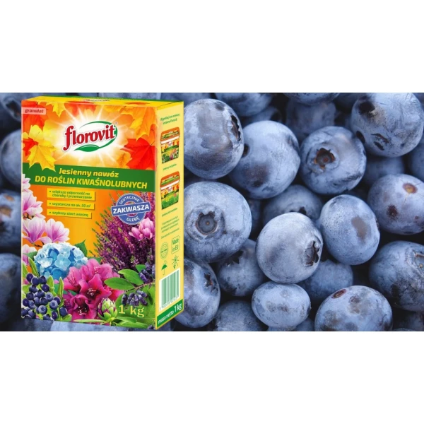 Nawóz do hortensji, borówek, wrzosów, roślin kwaśnolubnych jesienny Florovit 1kg