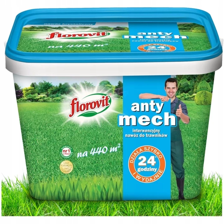 nawóz antymech, Florovit Antymech, nawóz do trawnika z mchem, nawóz przeciw mchu, nawóz na mech w trawniku, nawóz z żelazem do trawnika, nawóz do trawy z żelazem, nawóz do trawnika zacienionego, nawóz do trawnika wilgotnego, trawnik bez mchu, nawóz do pielęgnacji trawnika, nawóz do trawnika wiosną, nawożenie trawnika z mchem, granulowany nawóz na mech, nawóz do trawnika ozdobnego, nawóz do trawnika użytkowego, nawóz do trawnika rekreacyjnego, pielęgnacja trawnika nawóz,