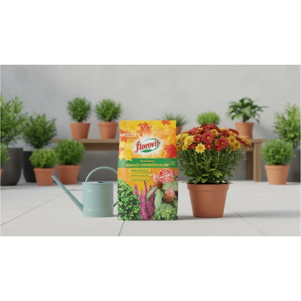 Nawóz uniwersalny jesienny Florovit 3kg 