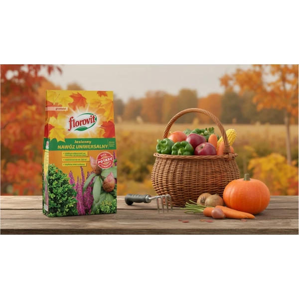 Nawóz uniwersalny jesienny Florovit 3kg 