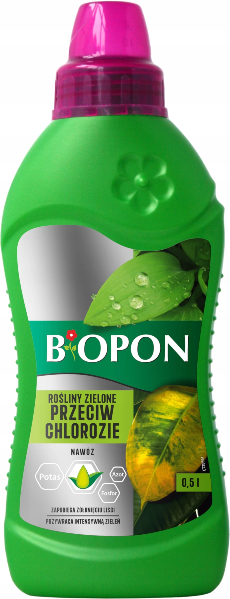 nawóz do roślin zielonych, nawóz przeciw chlorozie, Biopon nawóz płynny, nawóz z magnezem i żelazem, nawóz do roślin doniczkowych, nawóz do roślin balkonowych, nawóz dolistny do roślin, nawóz do roślin zielonych Biopon, nawóz na żółknięcie liści, nawóz do roślin 500 ml.