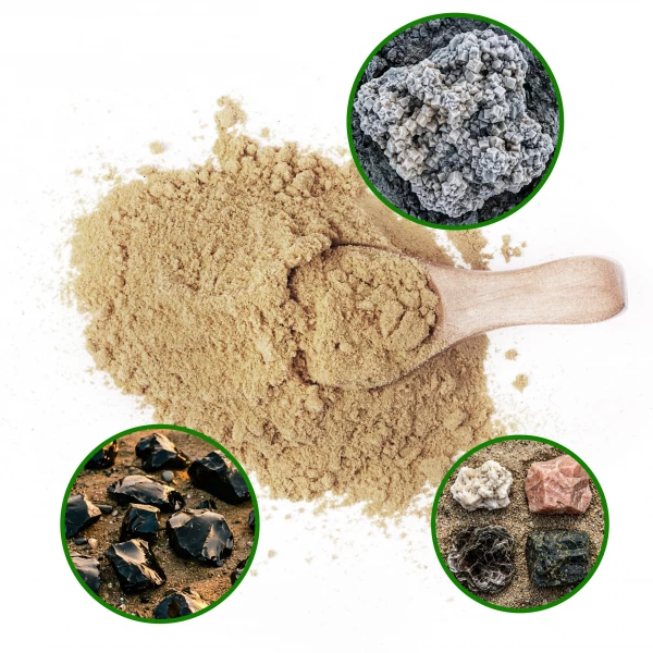 Środek na pluskwy preparat naturalny ziemia wulkaniczna No Pest® proszek 1 kg