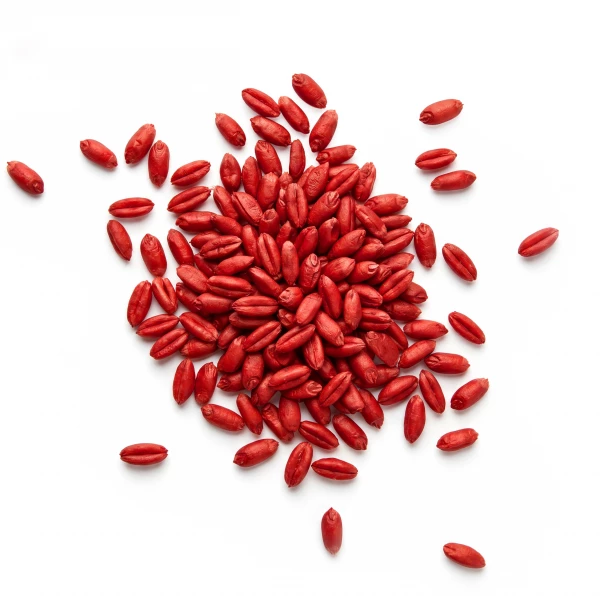Trutka na szczury i myszy, gryzonie 5 kg No Pest® brodifakum czerwone ziarno