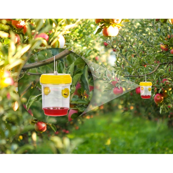 Pułapka na osy, szerszenie Wasp Cup + wabik Wasp Juice 500 ml 