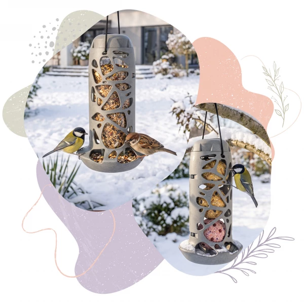 Karmnik tubowy dla Ptaków 2w1 BirdFit Omnia + Kule tłuszczowe Trio mix smaków Premium 6szt.