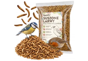 300g Suszone Larwy Mącznika Pokarm dla ptaków zimujących, karma BirdFit® PREMIUM