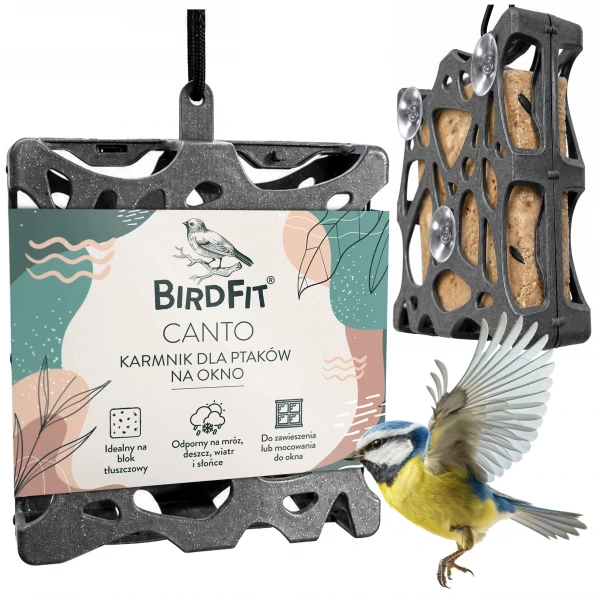 Karmnik dla ptaków na okno, wiszący BirdFit Canto + 3 bloki tłuszczowe Mix smaków