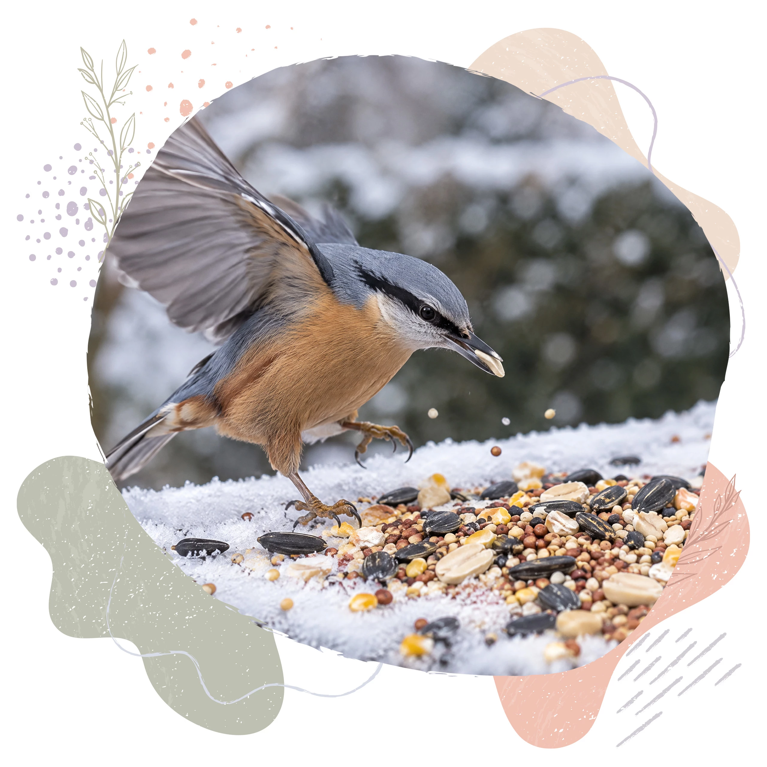 karma dla ptaków 1 kg, BirdFit mieszanka uniwersalna, pokarm dla ptaków na zimę, mieszanka ziaren dla ptaków, ziarno dla sikor, karma dla wróbli, pokarm dla dzwońców, słonecznik dla ptaków, proso dla ptaków, karma z orzechami dla ptaków, zimowa karma dla ptaków, mieszanka BirdFit