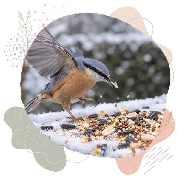 5kg Pokarm dla ptaków zimujących. Ziarno dla ptaków, dla sikorek. Karma BirdFit® Mix.