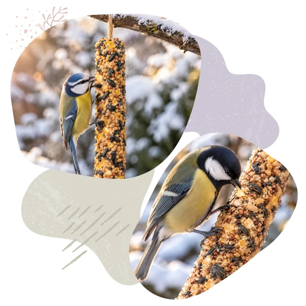 Duża Kolba Tłuszczowa Słonecznik pokarm dla ptaków BirdFit® 200 g.