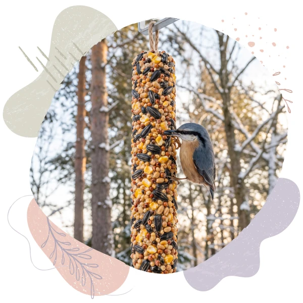 Duża Kolba Tłuszczowa Słonecznik pokarm dla ptaków BirdFit® 200 g.