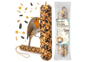 Duża Kolba Tłuszczowa Słonecznik pokarm dla ptaków BirdFit® 200 g.
