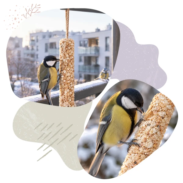 Duża Kolba Tłuszczowa z Orzechami pokarm dla ptaków BirdFit® 200 g 
