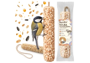 Duża Kolba Tłuszczowa z Orzechami pokarm dla ptaków BirdFit® 200 g 