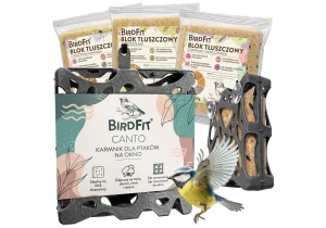 Karmnik dla ptaków na okno, wiszący BirdFit Canto + 3 bloki tłuszczowe Mix smaków