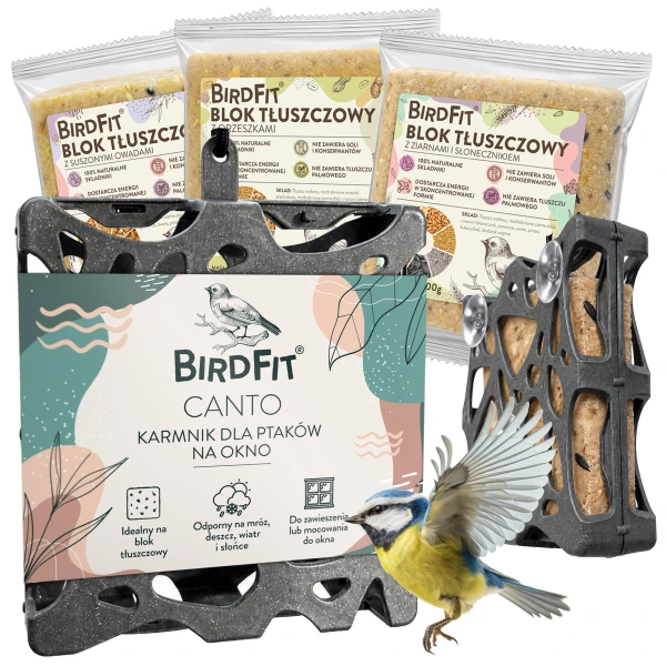 Karmnik dla ptaków na okno, wiszący BirdFit Canto + 3 bloki tłuszczowe Mix smaków