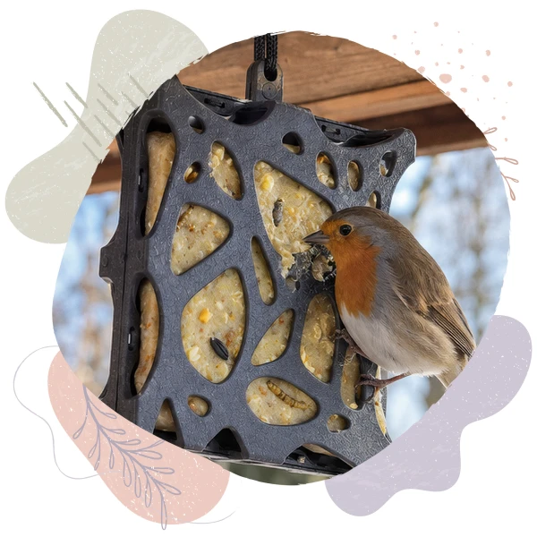 Karmnik dla ptaków na okno, wiszący BirdFit Canto + 3 bloki tłuszczowe Mix smaków