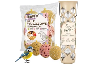 Karmnik dla ptaków na ziarno, pyzy + Kule tłuszczowe Premium BirdFit® Trio smaków 6×90g
