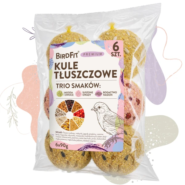 Karmnik dla ptaków wiszący BirdFit Enso + kule tłuszczowe, pyzy Trio mix smaków Premium 6szt.