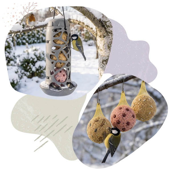Karmnik tubowy dla Ptaków 2w1 BirdFit Omnia + Kule tłuszczowe Trio mix smaków Premium 6szt.