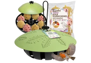 Karmnik dla ptaków + Kule tłuszczowe Premium BirdFit® Trio smaków 6×90g