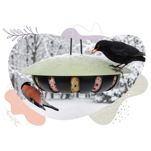 Pojemny karmnik dla ptaków BirdFit Rondo + Kule tłuszczowe Premium BirdFit® Trio smaków 6 sztuk × 90g z siateczką biodegradowalną.