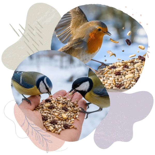 Karmnik na Okno, szybę dla ptaków BirdFit Sonata + karma bezresztkowa Premium Zero Waste BirdFit® 1kg