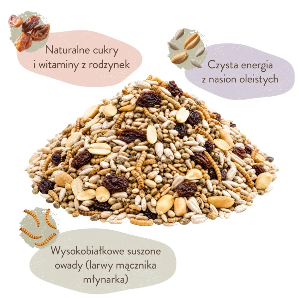 Karmnik na Okno, szybę dla ptaków BirdFit Sonata + karma bezresztkowa Premium Zero Waste BirdFit® 1kg