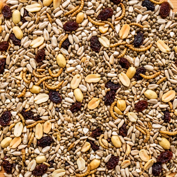 Karmnik na Okno, szybę dla ptaków BirdFit Sonata + karma bezresztkowa Premium Zero Waste BirdFit® 1kg
