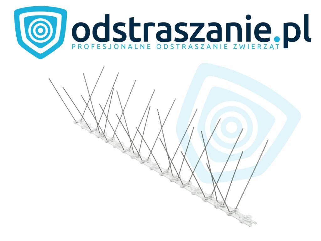 kolce na ptaki, kolce przeciw ptakom, odstraszanie ptaków, kolce na gołębie, kolce ochronne, odstraszanie gołębi, problem z gołębiami, jak odstraszyć ptaki, problem z ptakami