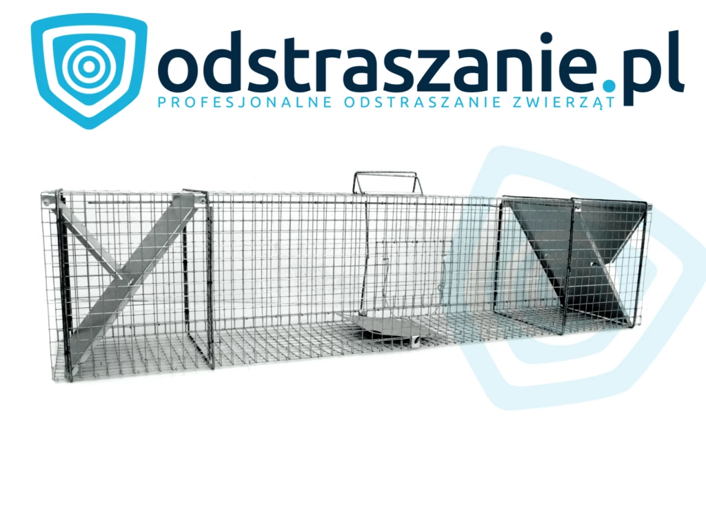 żywołapka, pułapka żywołowna, pułapka na bobra, żywołapka na bobra, sposób na bobra, pułapka na wydrę, sposób na wydrę, jak pozbyć się wydry 