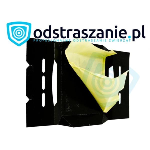 Pułapka na pluskwę domową Panko.
