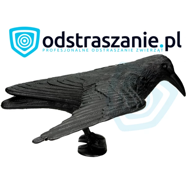Sztuczny kruk odstraszacz ptaków, gołębi. Kruk na gołębie, ptaki.