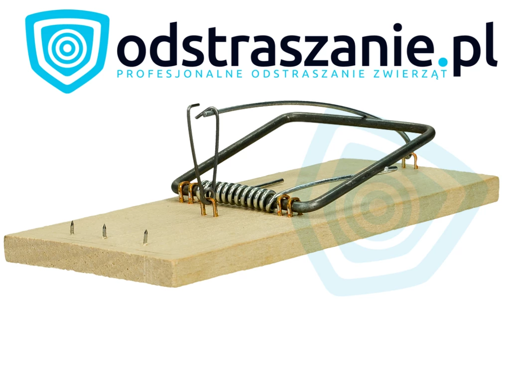 pułapka na szczury, łapka na szczury, szczurołapka, sposób na szczury, co na szczury, co na szczury, odstraszanie szczury, jak odstraszyć szczury, jak pozbyć się szczury, czym odstraszyć szczury, sposoby na szczury, jak odstraszyć szczury