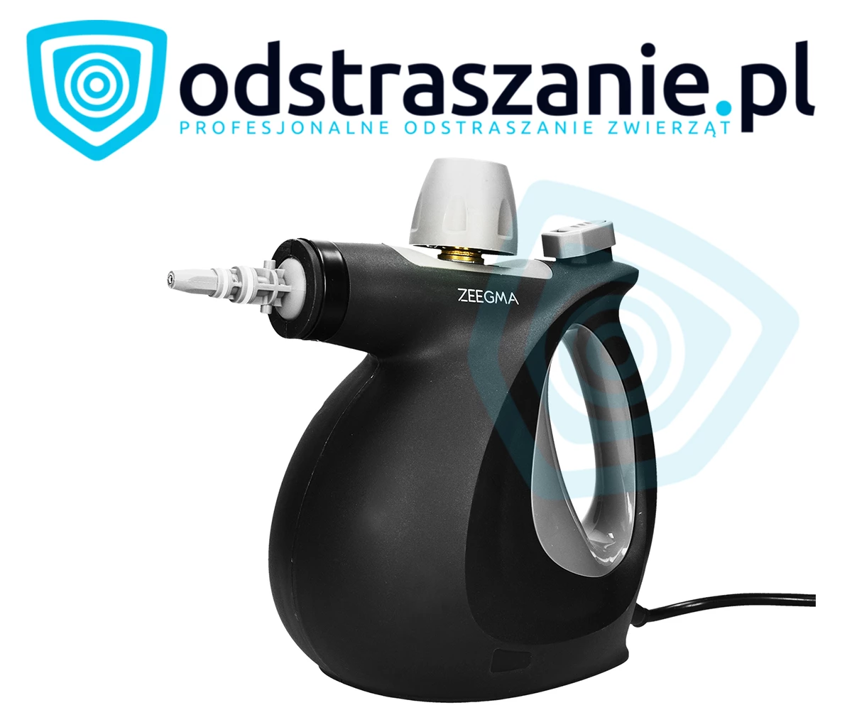 myjka parowa na pluskwy, parownica na pluskwy, myjka parowa do zwalczania pluskiew, steamer parowy na pluskwy, odpluskwianie, para na pluskwy, sposób na pluskwy, jak pozbyć się pluskwy, co na pluskwy
