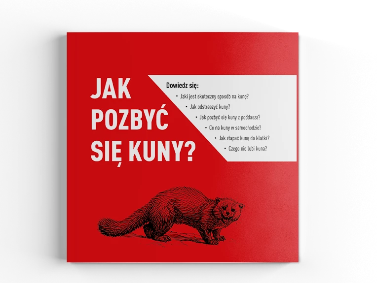 poradnik jak pozbyc sie kuny, jak pozbyc sie kuny